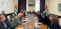 Общественная палата Абхазии презентовала проект конституционной реформы